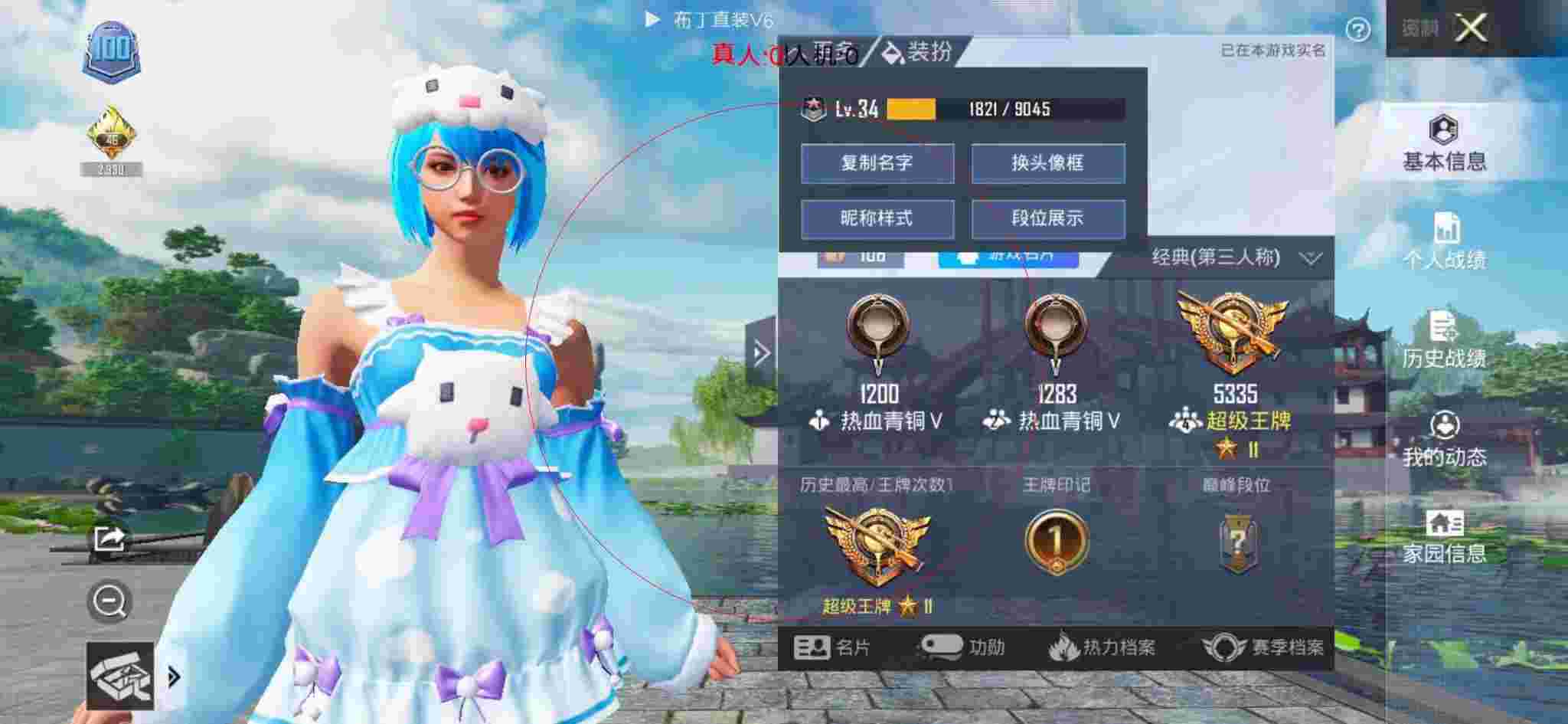 和平精英布丁直装透视 - 和平精英跳伞辅助线红条辅助预览图